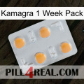 Kamagra 1 Week Pack 24